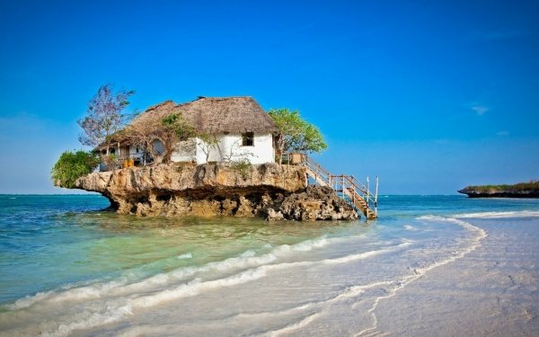Man Made House Seashore Stairs Funny Tree Tanzania Zanzibar HD Wallpaper | Background Image