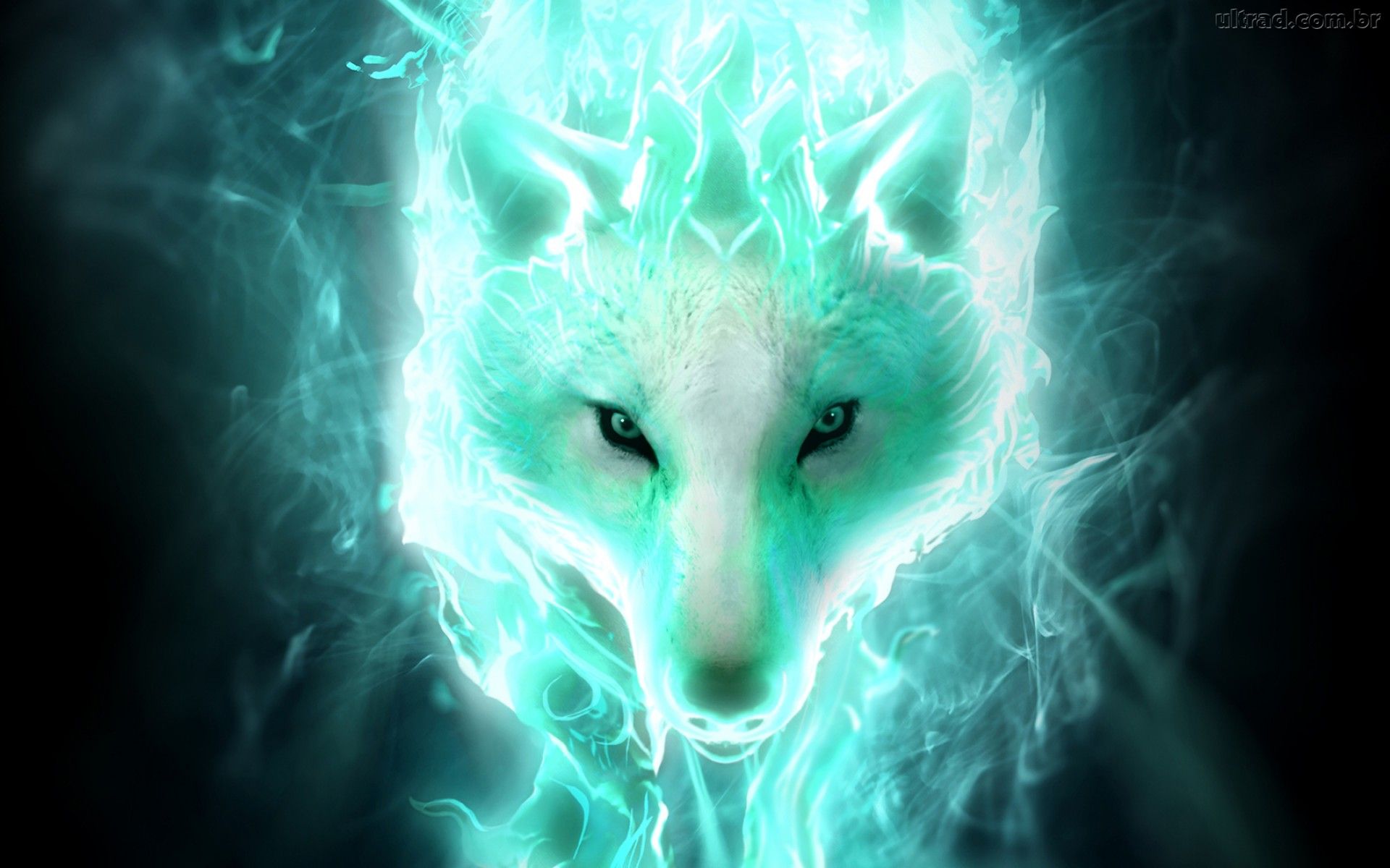 White Wolf Spirit Related Keywords & Suggestions - White Wolf Spirit ...
