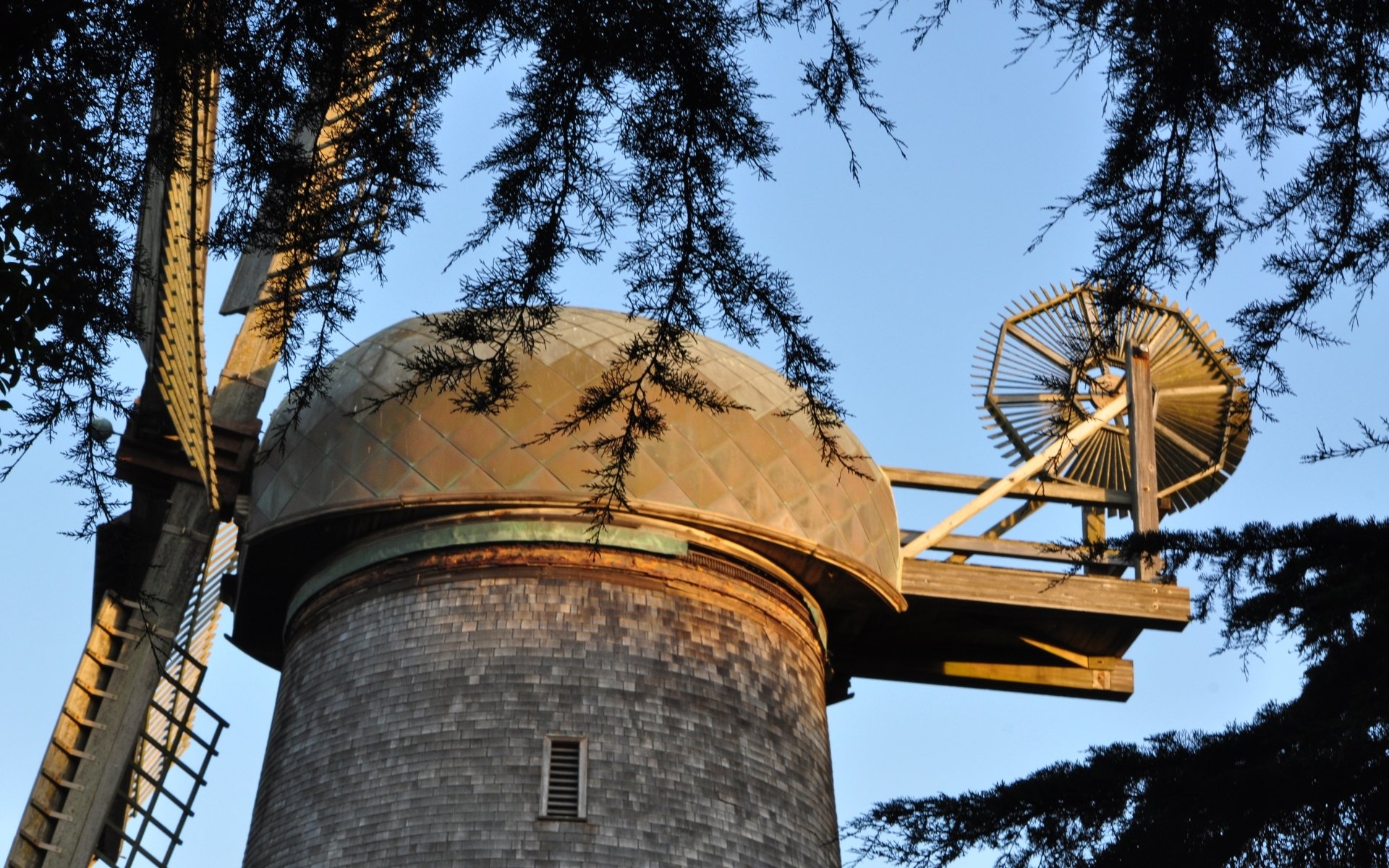 Download Man Made Golden Gate Park HD Wallpaper