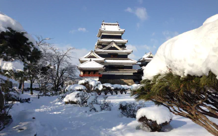 Snow-covered Matsumoto Castle stands majestically under a clear blue sky, surrounded by snowy trees, captured in a high-definition PC desktop wallpaper.