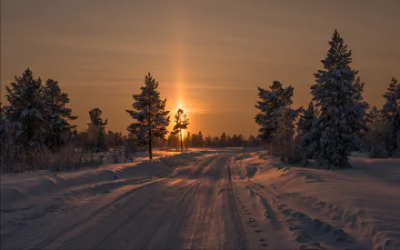 HD desktop wallpaper showing a winter sunset with a sun beam over a snow-covered road flanked by fir trees.