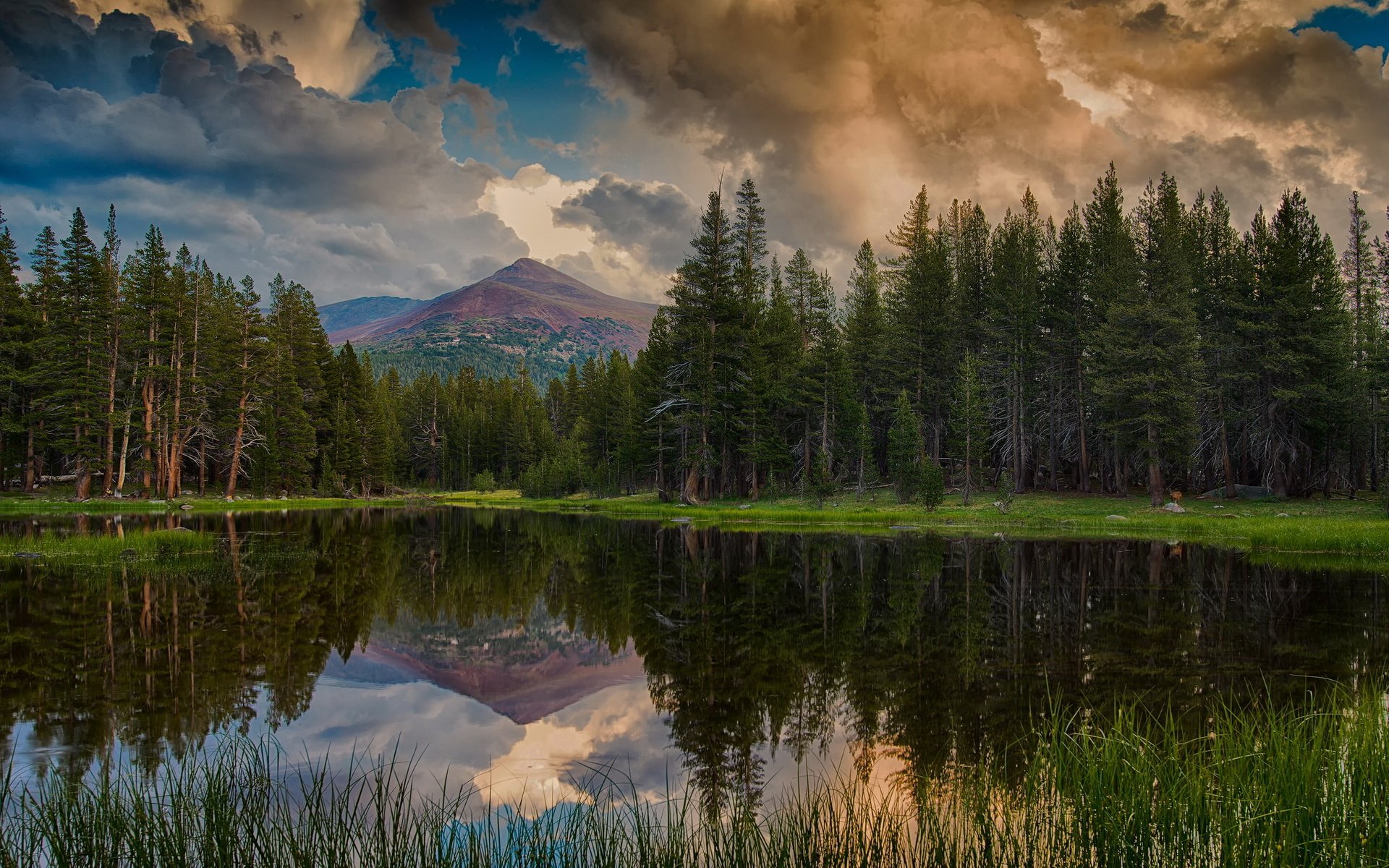 HD PC desktop wallpaper showcasing a serene nature scene with a mountain, tall pine trees, and dramatic clouds perfectly reflected in a calm lake.