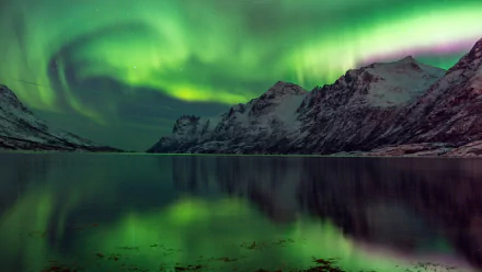 4K Ultra HD night scene of snow-covered mountains reflected in calm water beneath vibrant green aurora borealis in a serene natural setting.