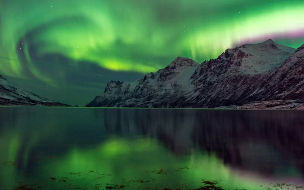 4K Ultra HD night scene of snow-covered mountains reflected in calm water beneath vibrant green aurora borealis in a serene natural setting.