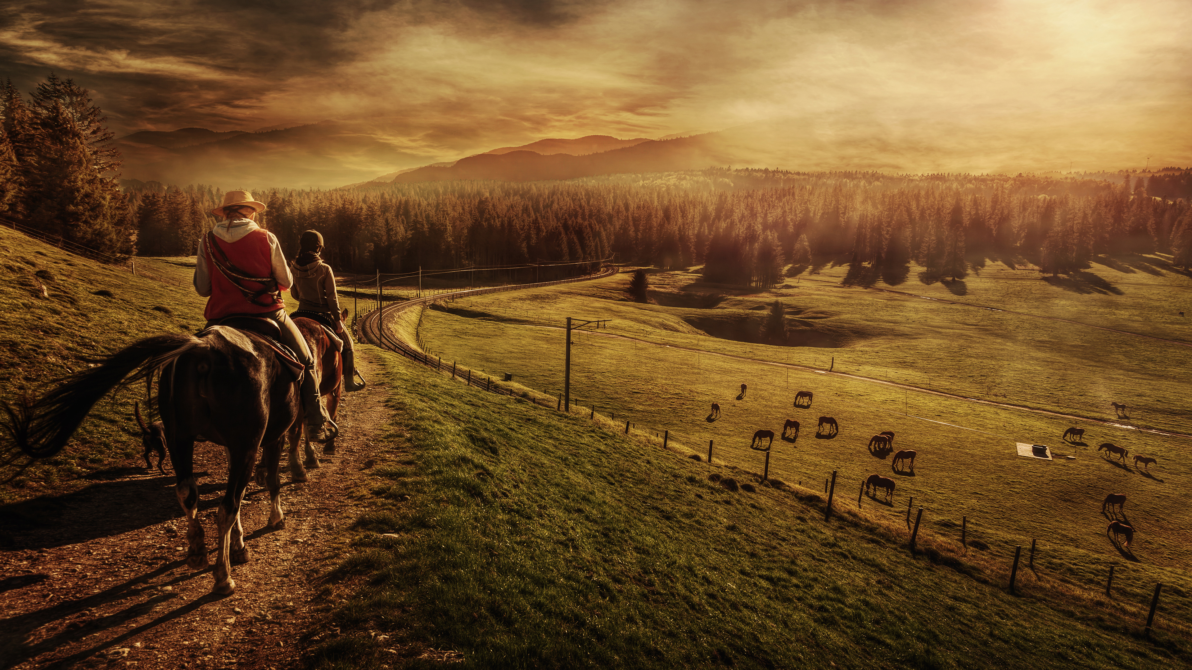 horse farm wallpaper