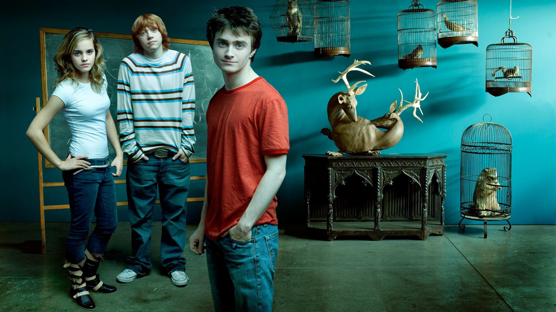 Film Harry Potter Fond d'écran HD | Image