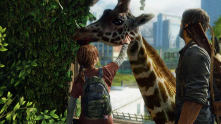 A scene from The Last of Us, featuring a young girl gently petting a giraffe in a post-apocalyptic cityscape, with lush greenery and a companion standing nearby. HD desktop wallpaper.