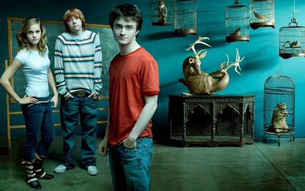 Movie Harry Potter Daniel Radcliffe Emma Watson Rupert Grint HD Wallpaper | Background Image