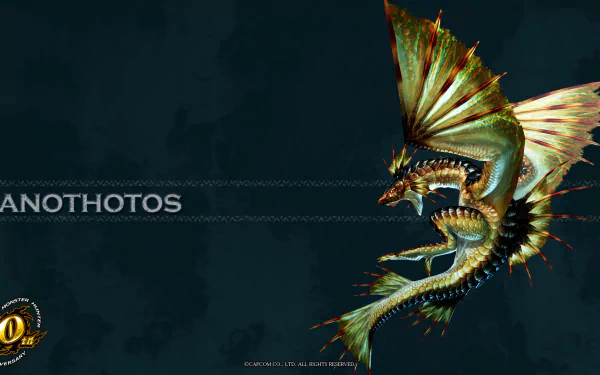video game Monster Hunter HD Desktop Wallpaper | Background Image