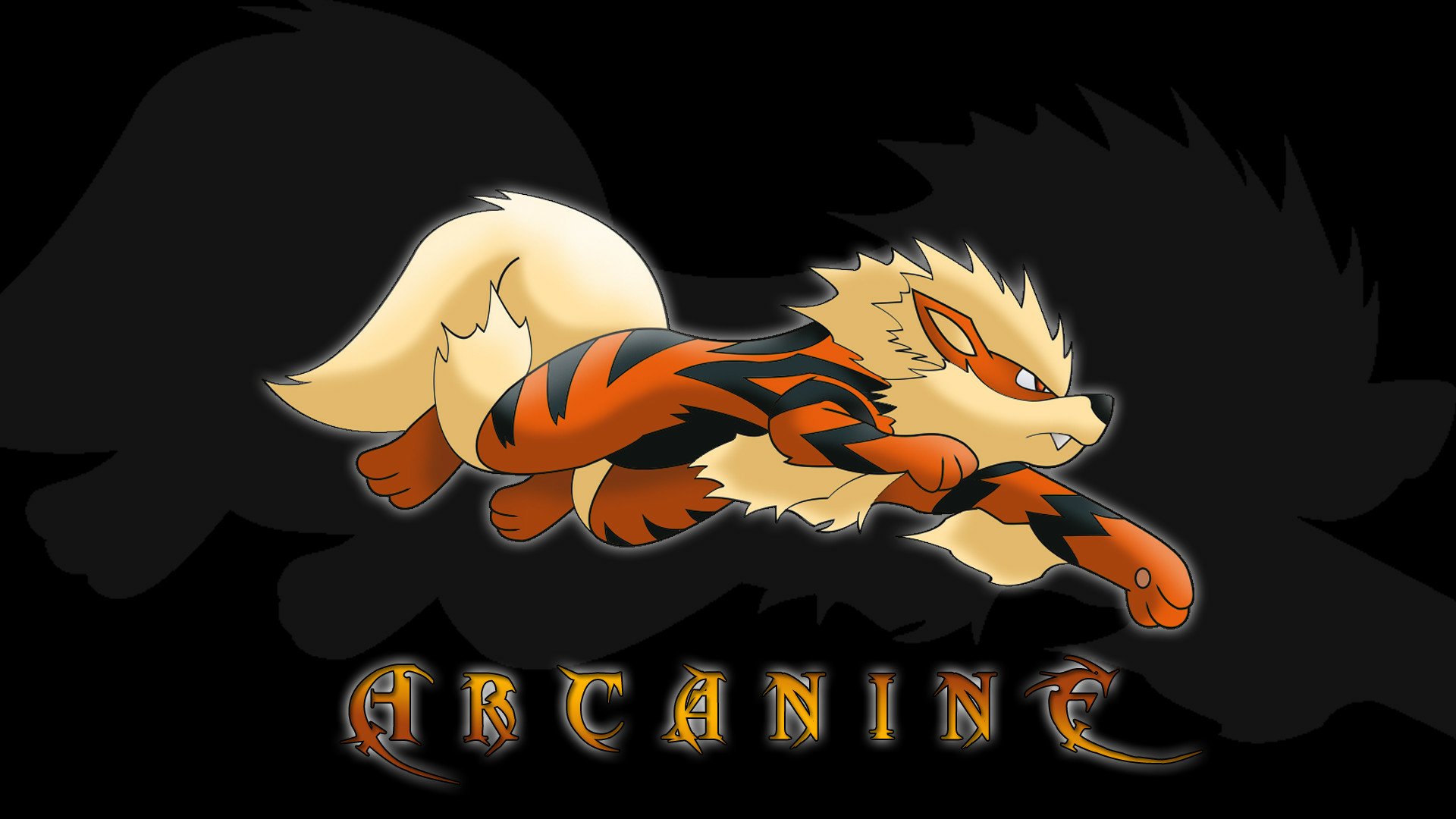 A vibrant HD wallpaper featuring Arcanine, a Pokémon known for its fierce appearance, set against a dark background with a shadow silhouette.