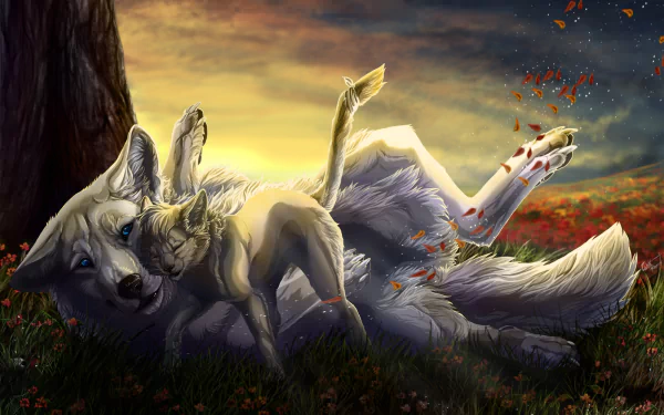 HD fantasy PC desktop wallpaper of two wolves, one lying on its back while the other nuzzles affectionately under a glowing sunset sky with falling leaves.
