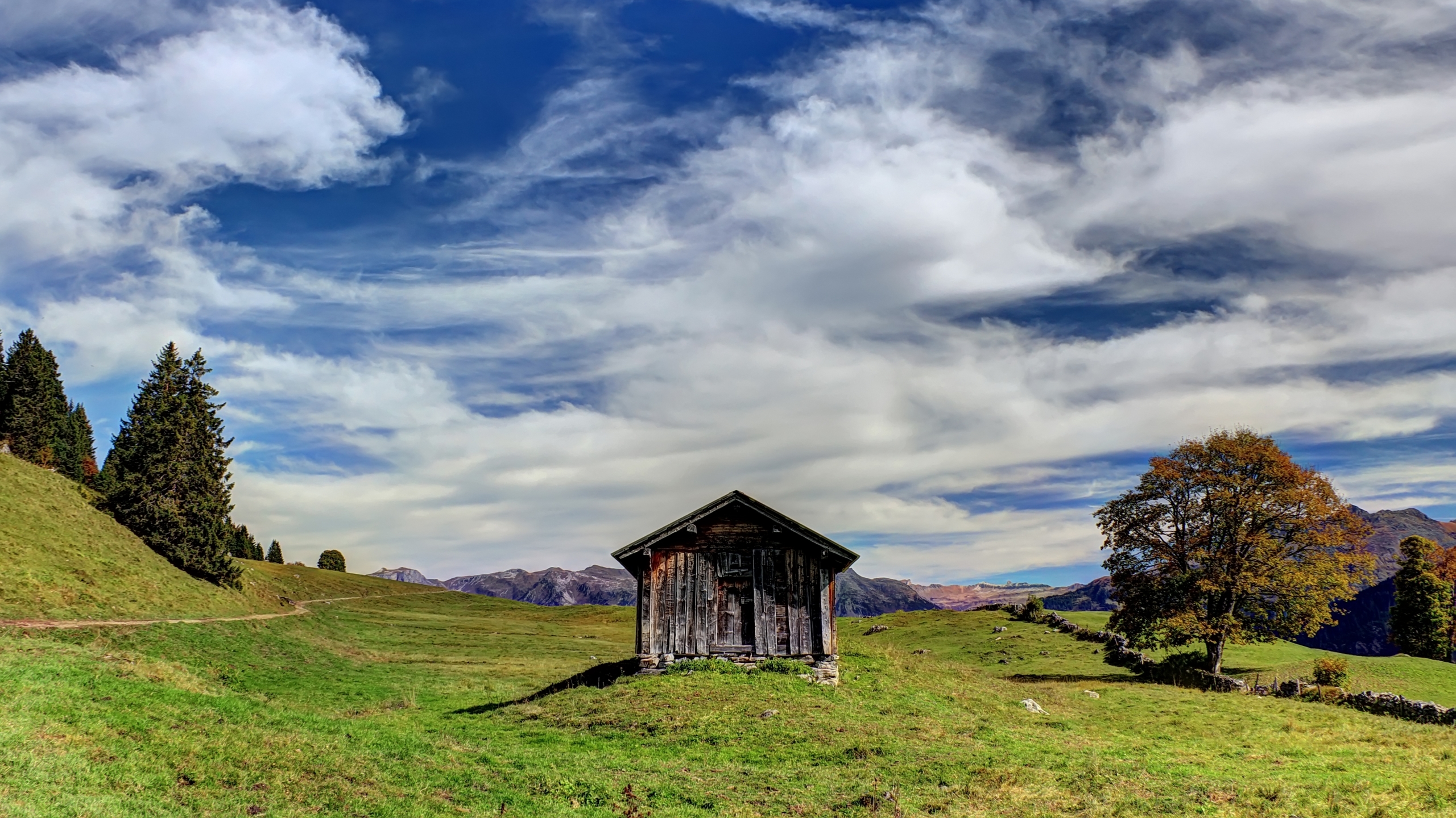 Cabin Full HD Wallpaper and Background Image | 2560x1440 | ID:559769