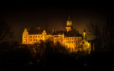 Illuminated Sigmaringen Castle at night rising above trees, man-made silhouette against a dark sky, rendered as a 2K Quad HD PC desktop wallpaper and background.