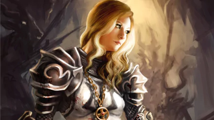 Crusader (Diablo III) video game Diablo III: Reaper Of Souls HD Desktop Wallpaper | Background Image