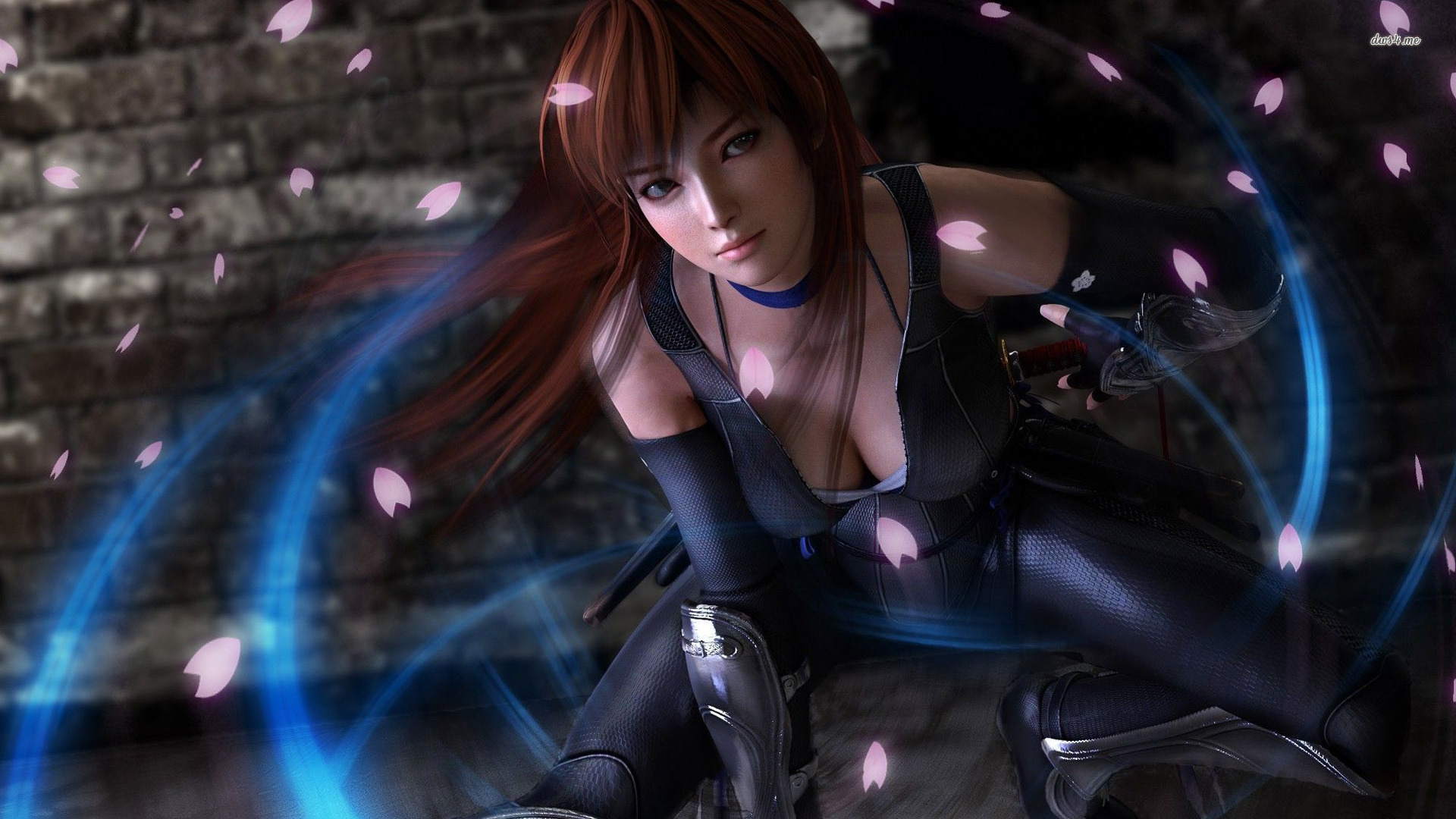 Video Game Dead Or Alive 5 HD Wallpaper | Background Image