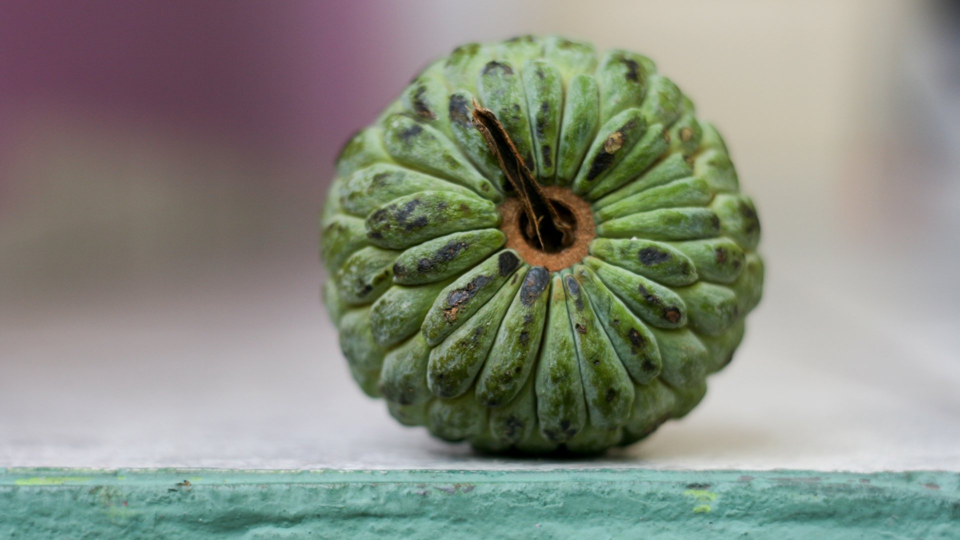 Download Food Sugar Apple HD Wallpaper