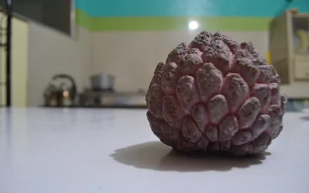 food Sugar Apple HD Desktop Wallpaper | Background Image