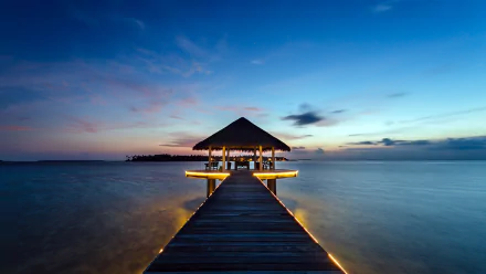 photography tropical HD Desktop Wallpaper | Background Image
