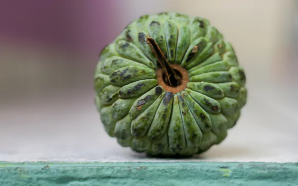 food Sugar Apple HD Desktop Wallpaper | Background Image