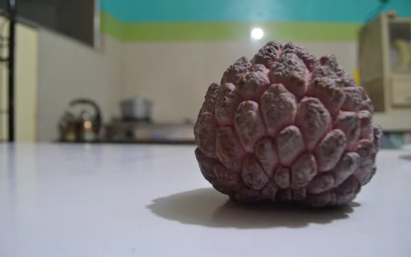 food Sugar Apple HD Desktop Wallpaper | Background Image