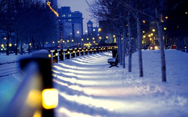 Photography Winter City Street Park HD Wallpaper | Background Image