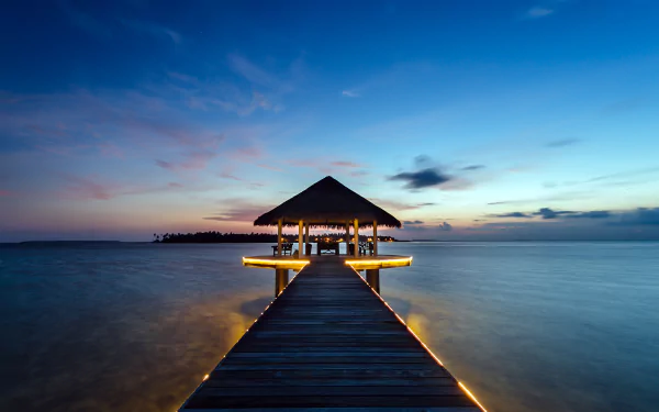 photography tropical HD Desktop Wallpaper | Background Image