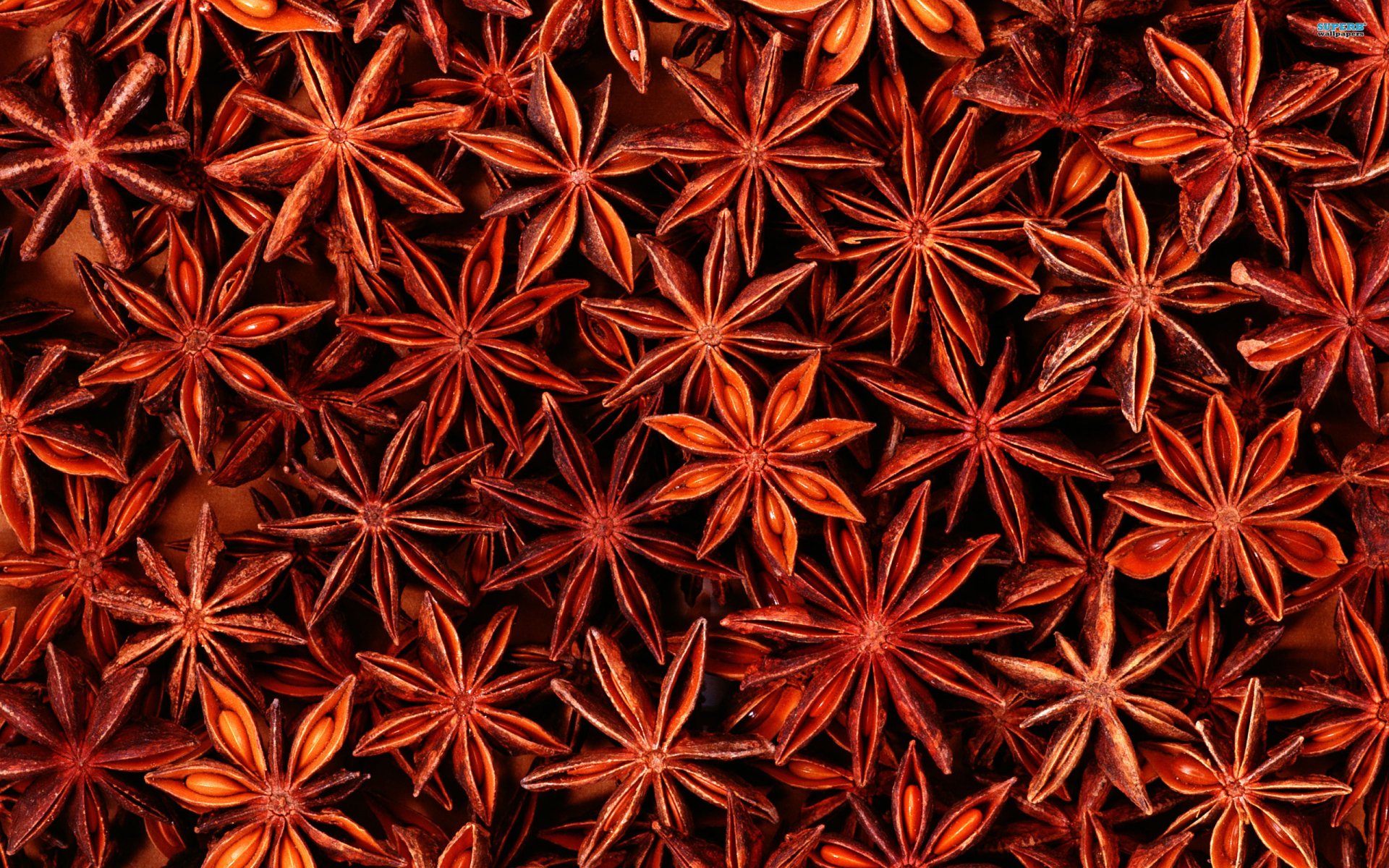 star-anise-hd-wallpapers-and-backgrounds