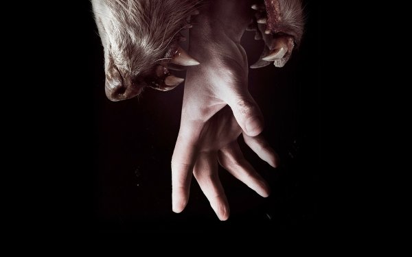 TV Show Hemlock Grove Werewolf HD Wallpaper | Background Image