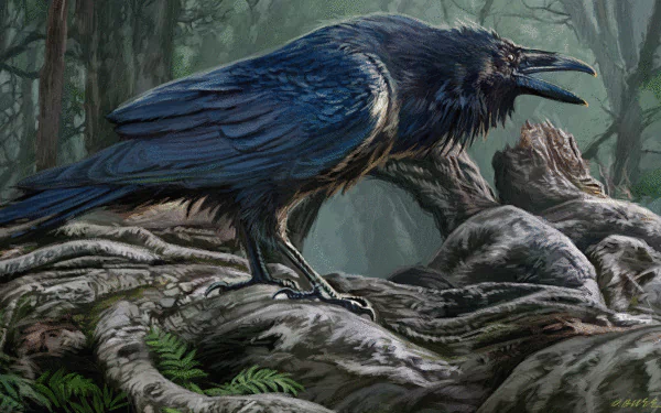 Animal raven HD Desktop Wallpaper | Background Image