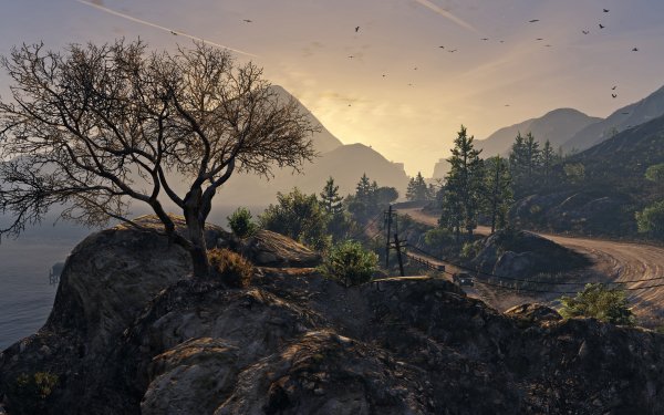Video Game Grand Theft Auto V Grand Theft Auto Tree Road HD Wallpaper | Background Image