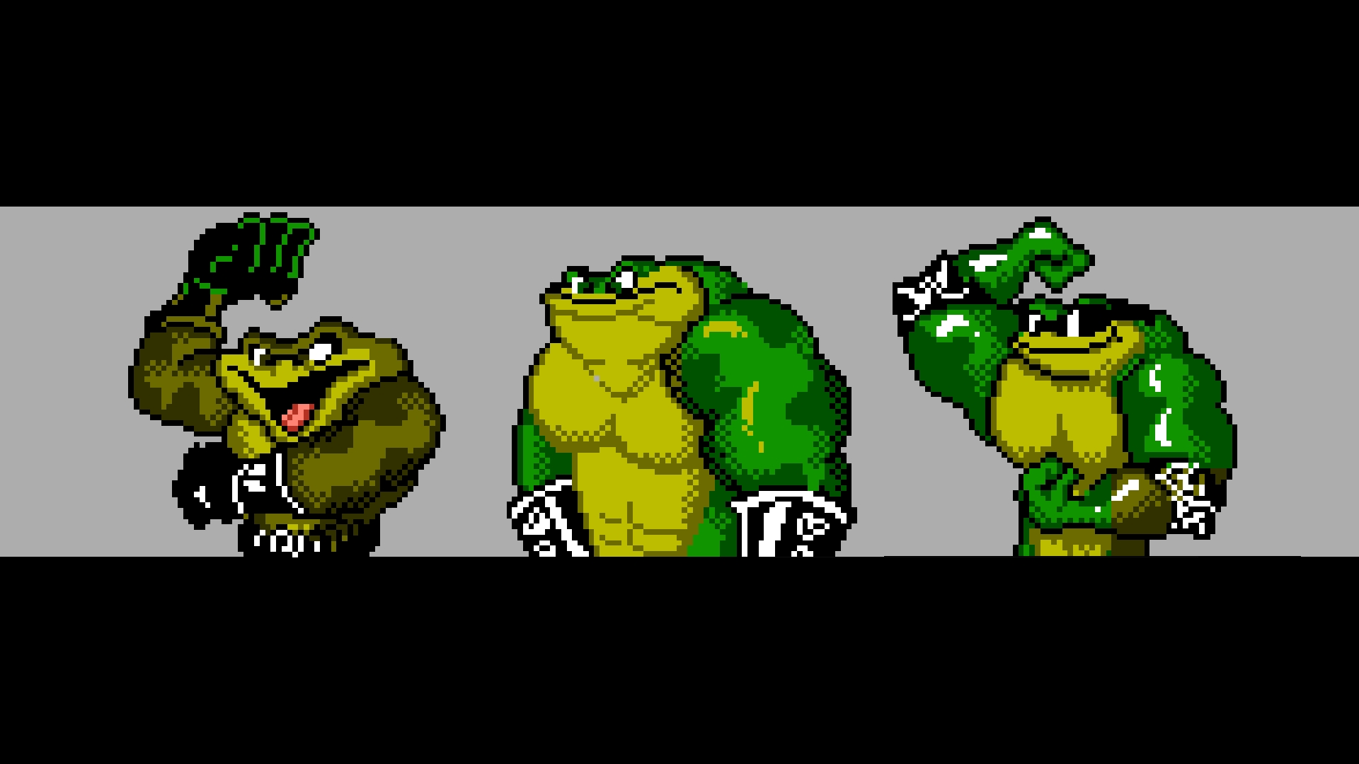 Video Game Battle Toads HD Wallpaper | Background Image