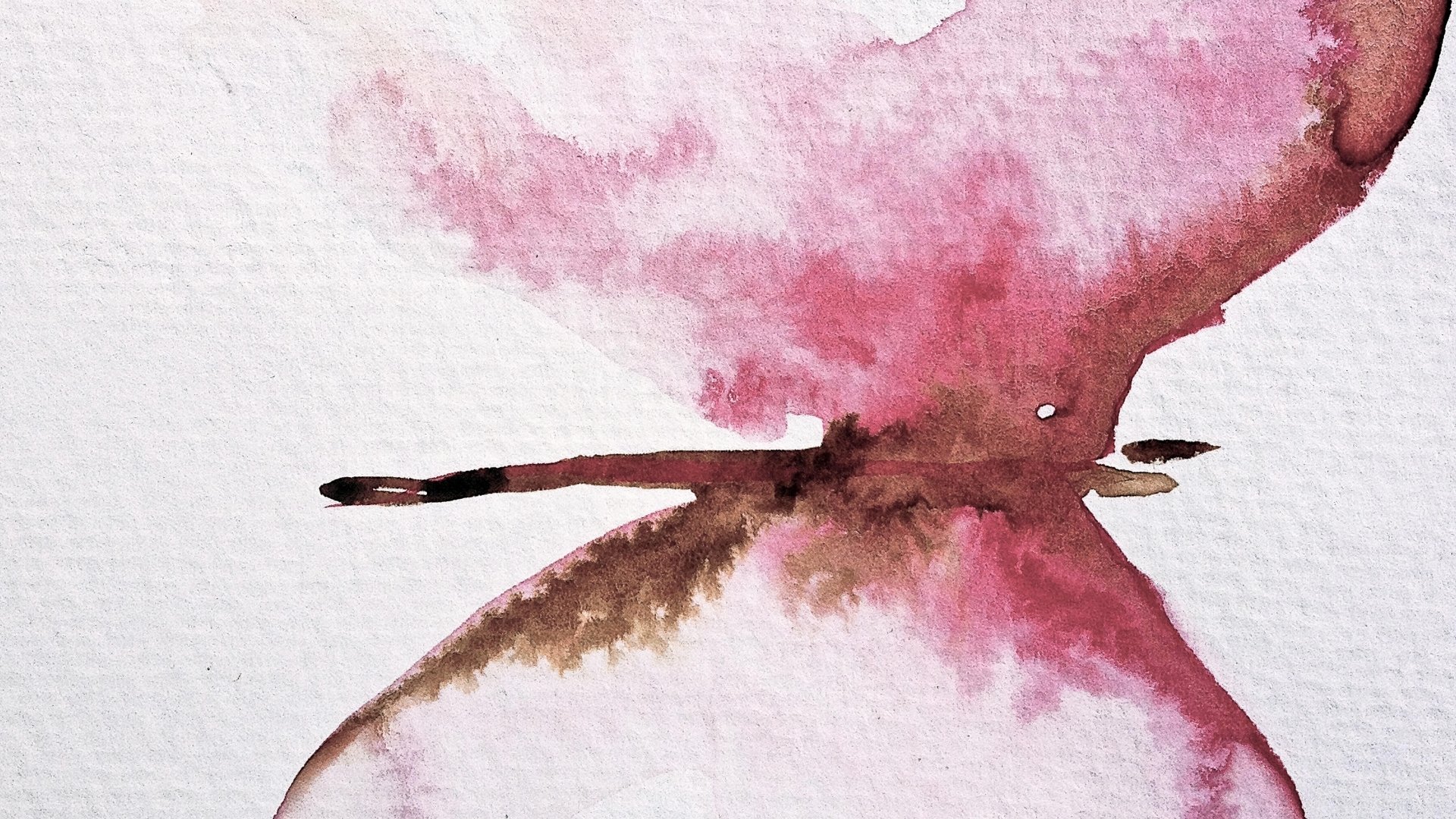 Download Artistic Butterfly 8k Ultra HD Wallpaper