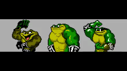 video game battle toads HD Desktop Wallpaper | Background Image