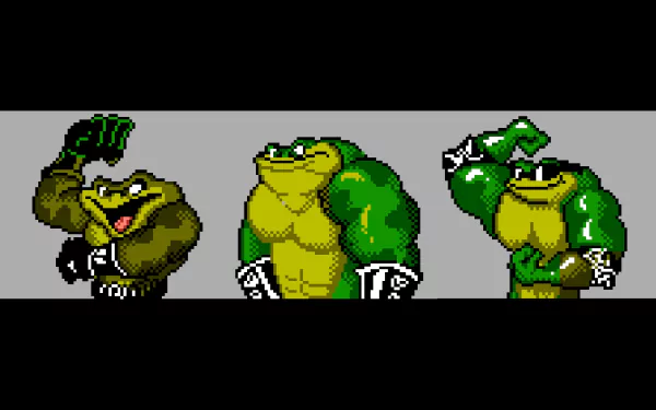 video game battle toads HD Desktop Wallpaper | Background Image