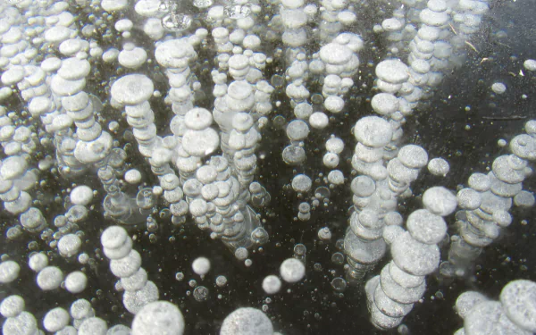 nature ice HD Desktop Wallpaper | Background Image