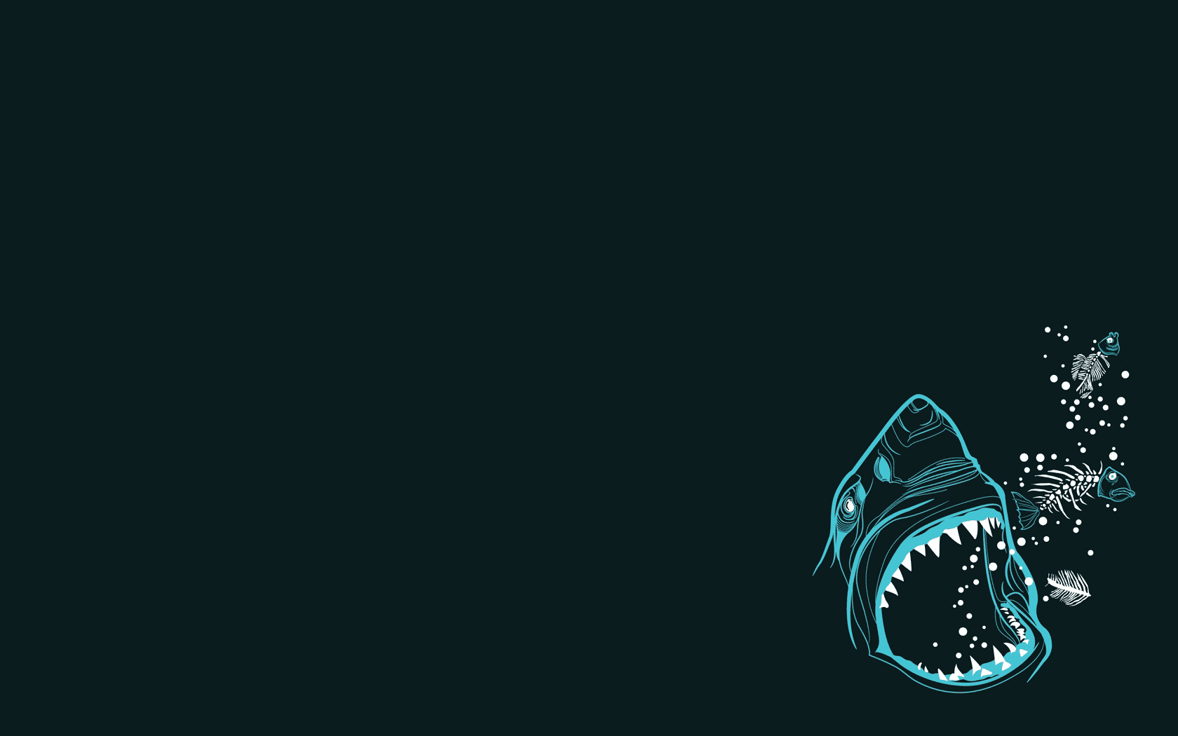 Animaux Requin Fond d'écran HD | Image