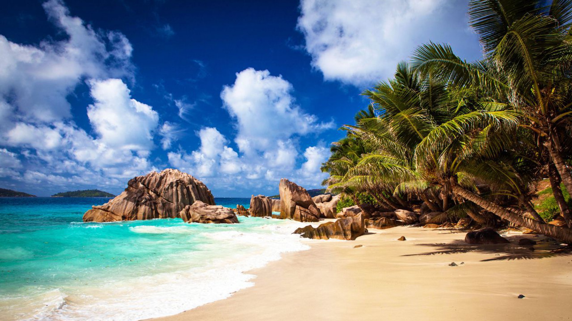 Tropical Beach Full Hd Wallpaper And Background Image 1920x1080 Id 568855