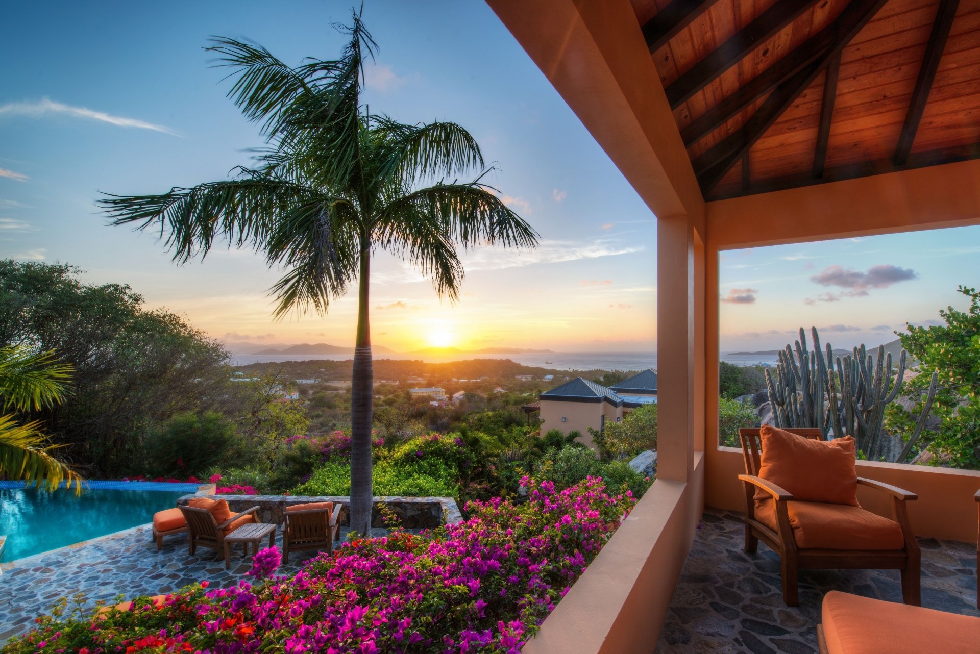 Download Terrace Cactus Pool Palm Tree Flower Sunset Tropics