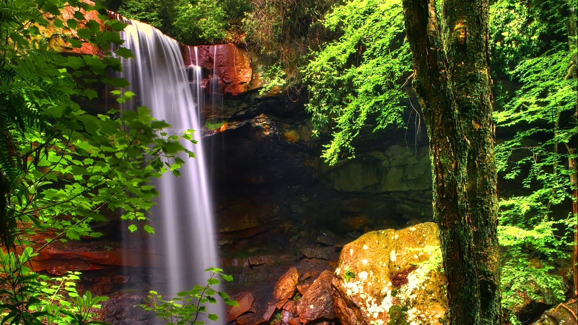 Download Nature Tree Green Waterfall Hd Wallpaper