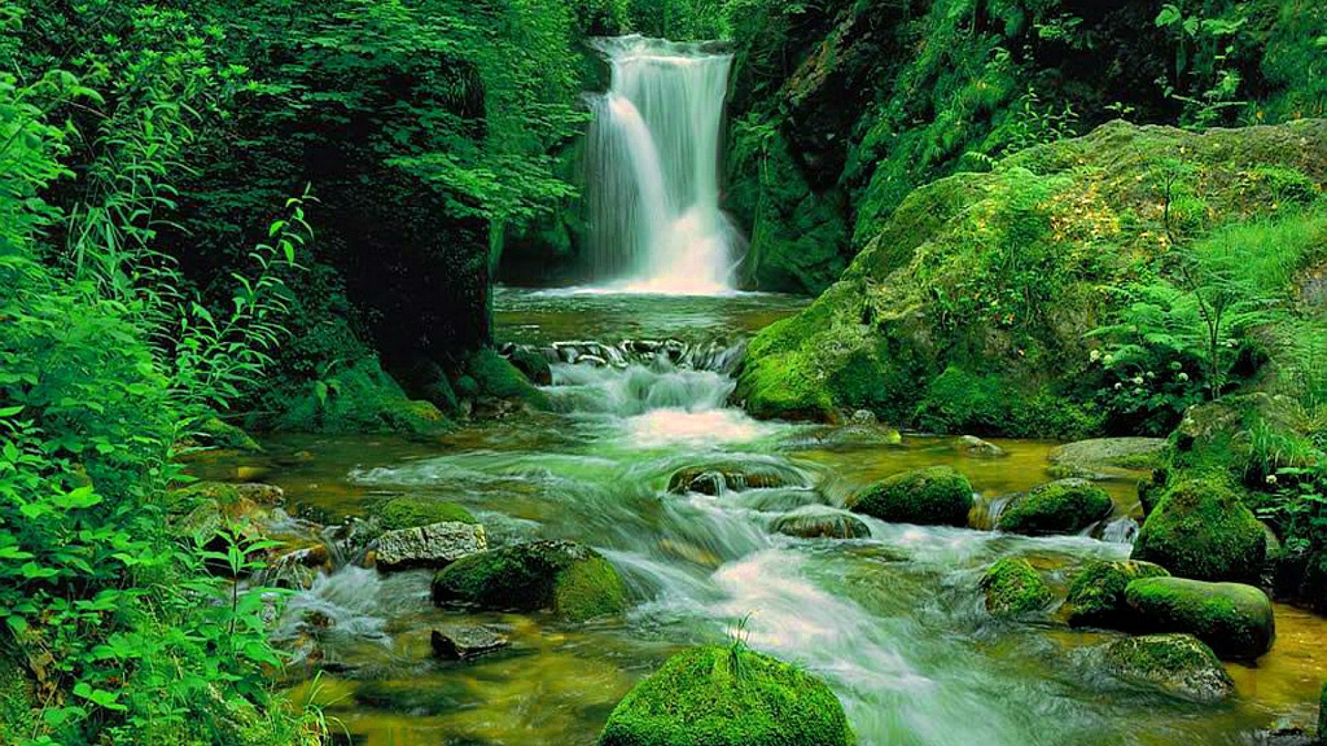 Green waterfall HD Wallpaper | Background Image | 1920x1080 | ID:568807