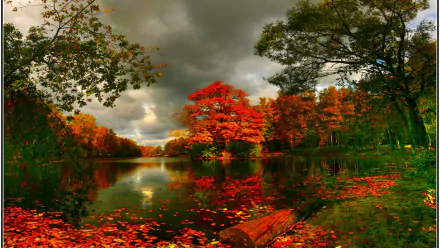 HD desktop wallpaper depicting a serene pond surrounded by vibrant autumn trees. Leaves cover the ground, and a log rests by the water, showcasing the beauty of fall in nature.