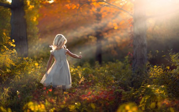 Photography Child Forest Sunshine Dandelion Fall Landscape Sunlight HD Wallpaper | Background Image