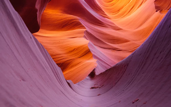 Nature HD PC desktop wallpaper and background: Antelope Canyon's flowing sandstone walls in warm orange and violet light, sculpted curves and a narrow slot-canyon vista.