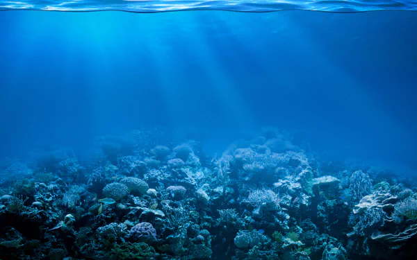 Underwater view of a vibrant coral reef illuminated by sunbeams, showcasing diverse marine life in stunning 4K Ultra HD detail.