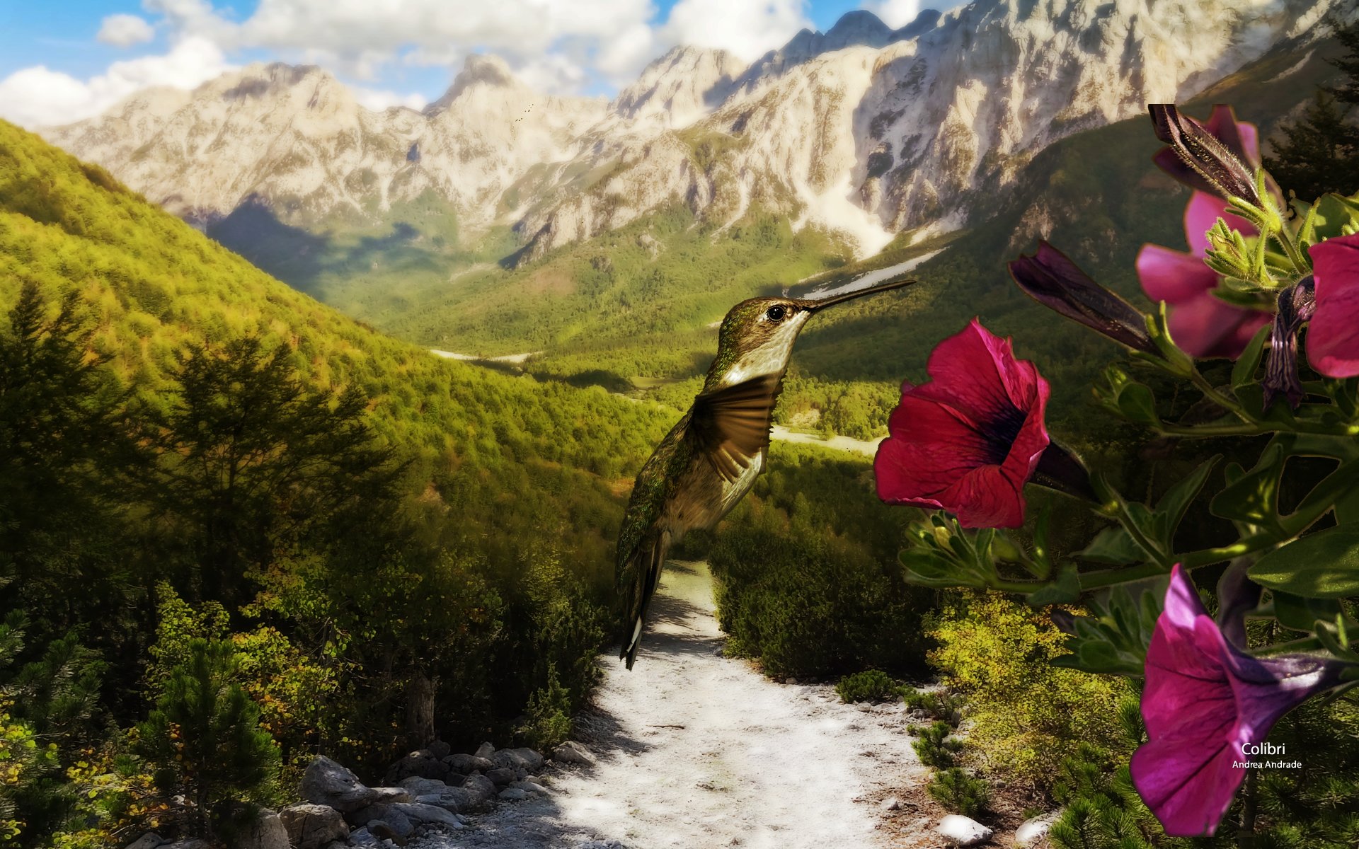 HD desktop wallpaper featuring a hummingbird hovering near vibrant pink flowers with a scenic mountain landscape in the background.