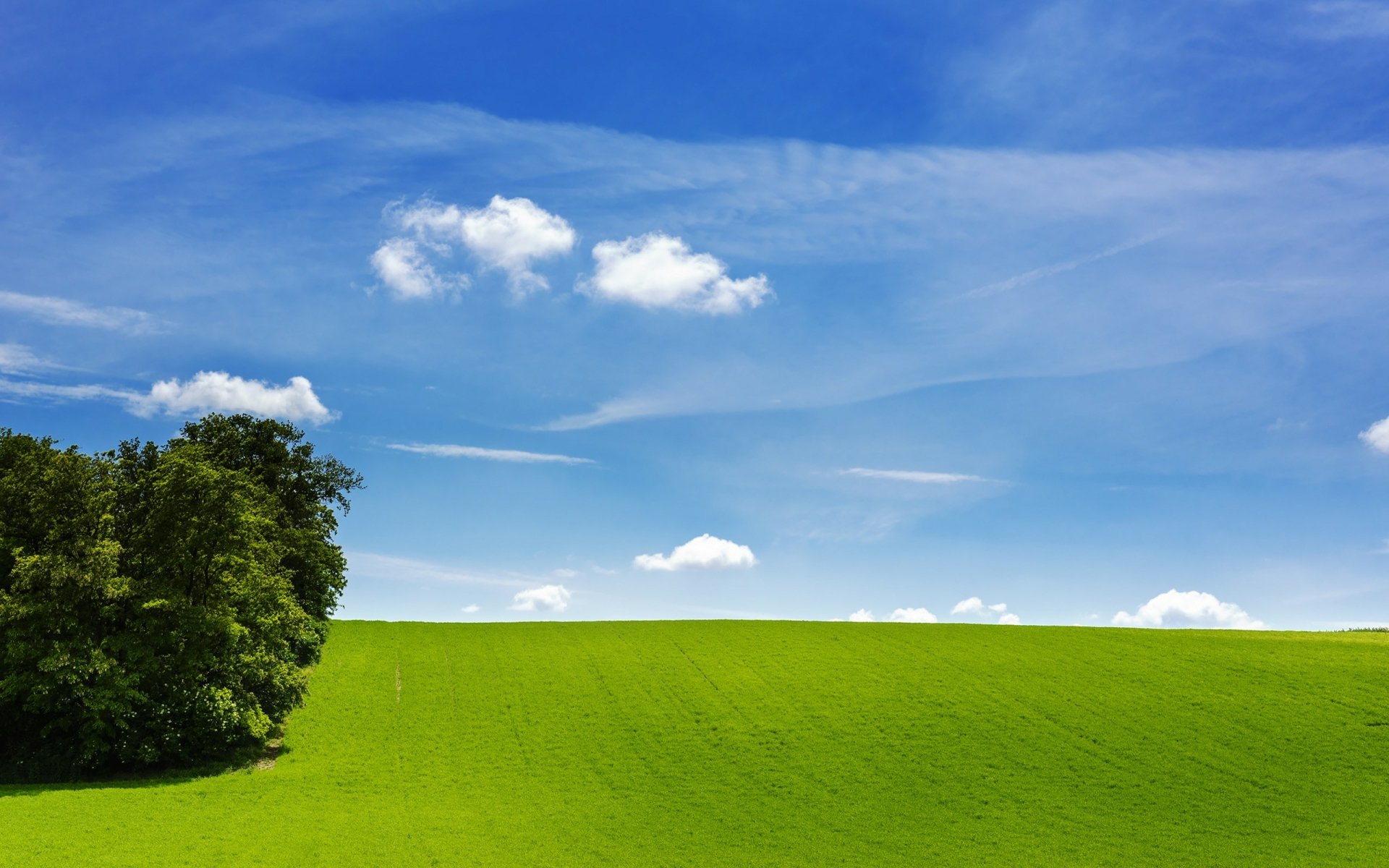 Download Nature Field HD Wallpaper