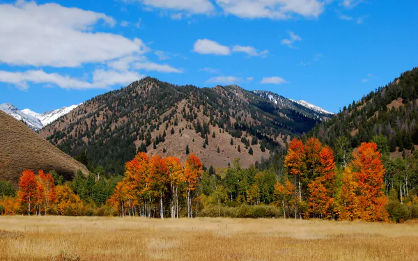 HD desktop wallpaper showcasing Idaho's vibrant autumn nature with colorful trees in the foreground and majestic mountains under a partly cloudy sky in the background.