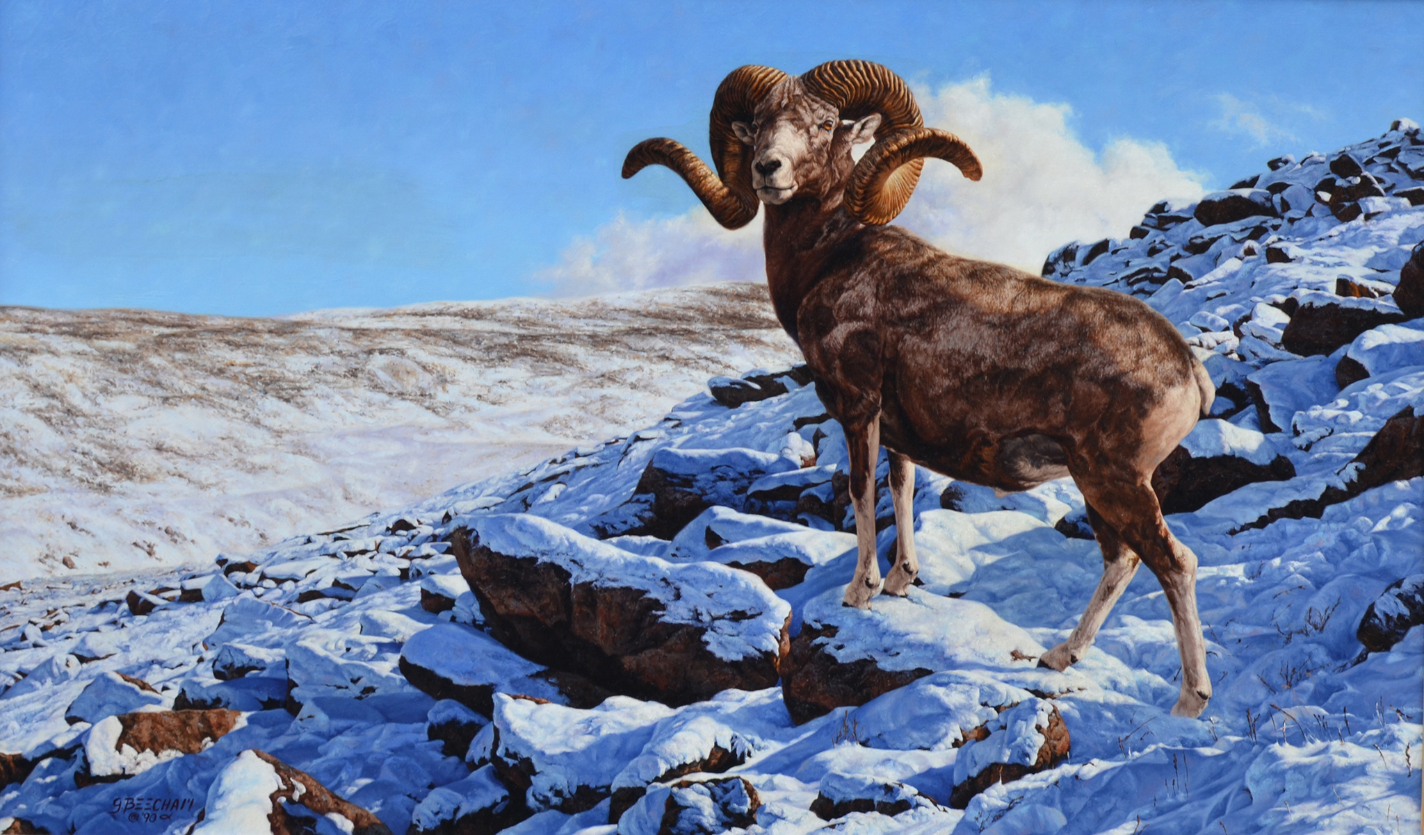10+ Bighorn Sheep HD Wallpapers and Backgrounds