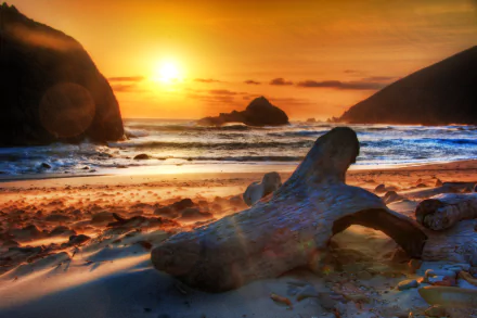 Sunset over a California seashore with waves, driftwood on the sandy beach, and vibrant sky, captured in a 4K Ultra HD seascape wallpaper.