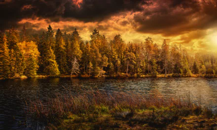HD desktop wallpaper featuring Etang de la Gruère in Jura, Switzerland. A serene lake with vibrant forest under a dramatic sunlit sky with clouds, showcasing the natural beauty of this landscape.